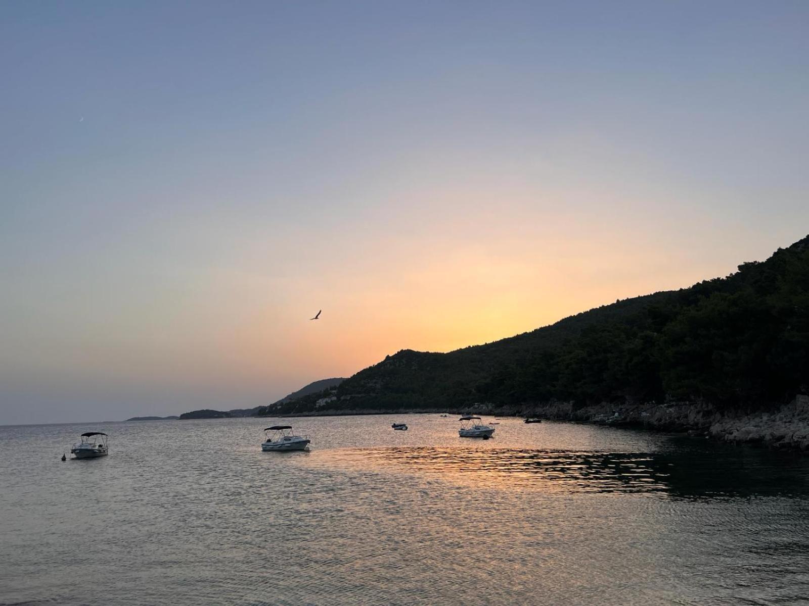 Bohosol House Blato (Korcula)